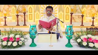 Sunday Holy Mass November 26 I 530 AM I Malayalam I Syro Malabar I Fr Bineesh Augustine [upl. by Bob]