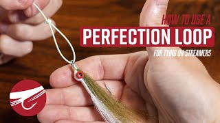 How To Tie On A Streamer With A Perfection Loop  FLY FISHING KNOTS [upl. by Nabru]