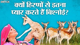 क्या है Bishnoi समाज का इतिहास कहाँ रहते हैं Bishnoi Who are Bishnoi Community Explained in Hindi [upl. by Wilonah591]