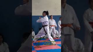 Exame de graduação na Academia Fox de Karate Alborcan karatedo Alborcan [upl. by Cannell]