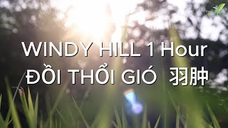 WINDY HILL 1 Hour  ĐỒI THỔI GIÓ   羽肿 [upl. by Zenas841]