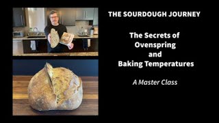 NEW The SECRETS of Ovenspring and Baking Temperatures [upl. by Adnavoj]