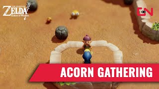 Acorn Gathering Zelda Echoes of Wisdom Challenge [upl. by Mateo]