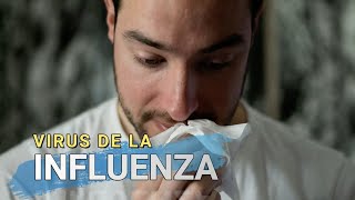 Virus de la Influenza [upl. by Rinee]