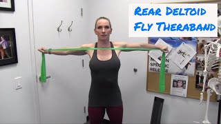 Rear Deltoid Theraband Fly  Shoulder Stabilization  Ask Dr Abelson [upl. by Thun214]