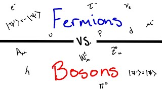 Whats the Difference Between Fermions and Bosons [upl. by Allemahs]