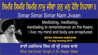 Simar Simar Simar Nam Jivaan By Bhai Harjinder Singh Ji Sri Nagar Wale [upl. by Candis]