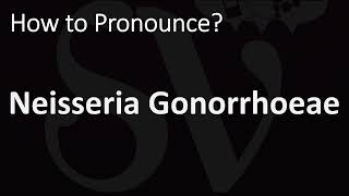 How to Pronounce Neisseria Gonorrhoeae CORRECTLY [upl. by Farlie]