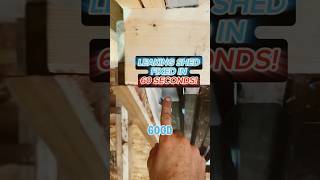 Leaking Shed Fixed In 60 Seconds‼️ shorts construction diy tips building work youtubeshorts [upl. by Oulman]