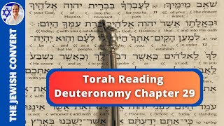 Deuteronomy Chapter 29  Torah Reading in Hebrew with English Translation  TORAH STUDY [upl. by Warfold790]