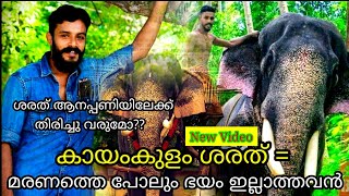 കായംകുളം ശരത്  മരണത്തെ പോലും ഭയം ഇല്ലാത്തവൻ Kayamkulam sarath Olarikkara kalidasan [upl. by Bella731]