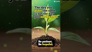 Be PATIENT BE HOPEFUL The Day You Plant the Seed [upl. by Winnifred]