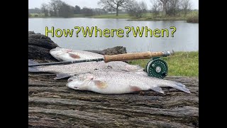 Trout fishing fly fishing Fishing in the rain [upl. by Renwick]