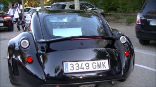 Wiesmann GT MF5 SOUND [upl. by Nnaitsirk]