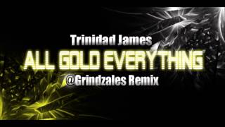 Trinidad James All Gold Everything Trap Remix [upl. by Analem281]