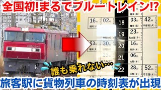 乗れない時刻表 旅客駅に貨物列車の時刻表が出現 [upl. by Lishe]