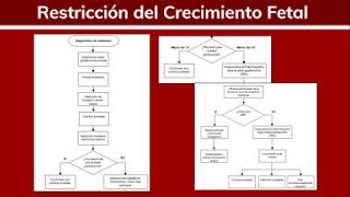 Alteraciones del Crecimiento Fetal RCIU 12  Ginecología [upl. by Ecitnirp]