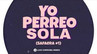 YO PERREO SOLA REMIX ✘  SAFAERA 1 [upl. by Wendell79]