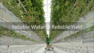 H2O Engineering  Greenhouse Water Treatment [upl. by Asuncion]