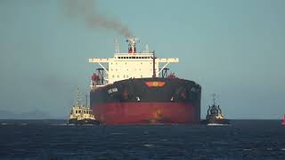 Ship Horn  Horn blast from bulk carrier ship 4K [upl. by Minnie]