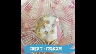 【小蘇打x白醋】抽油煙機輕鬆去汙Cleaning Uses for Baking Soda  台灣好食材 Fooding [upl. by Beattie67]