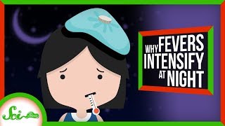 Why Do Fevers Get Worse at Night [upl. by Anawik]