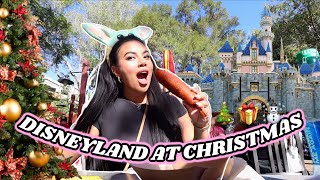 COME TO DISNEYLAND WITH ME disney during the holidays  Vlogmas Day 2 [upl. by Vastha]