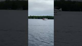 Water planes TAKES OFF from local inland lake while on the boat ✈️🚤 [upl. by Shea664]