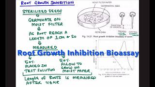 ROOT GROWTH INHIBITION BIOASSAY FOR AUXIN [upl. by Leaper544]