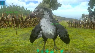 crafting argentavis saddle ark ep 3 [upl. by Rao]