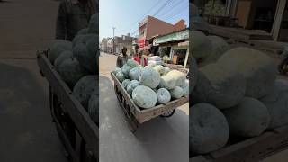 ⚡⚡ Pumpkin Sweet Making Process⚡⚡ shorts telugufoodie esangathulu streetfood foodie omelette [upl. by Chui]