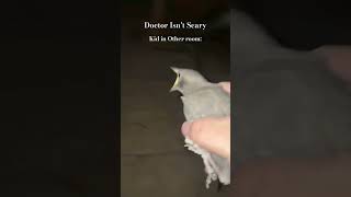 Bird screaming meme trending [upl. by Essirahs]