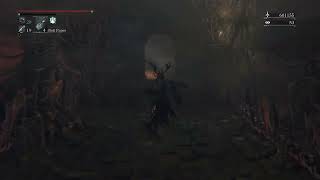 Bloodborne quotOptionalsquot 33rd Fight  Beast Possessed Soul [upl. by Ojyllek]