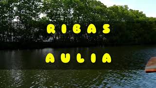 RIBAS  AULIA 2008 [upl. by Nahrut]