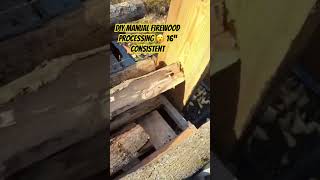 DIY manual firewood processing 😮 16” consistent youtubeshorts youtube shorts short trending [upl. by Rodama]