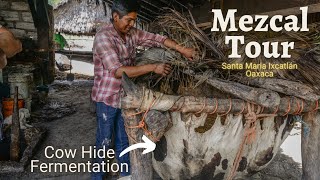 Mezcal Tour  Cow Hide Fermentation Santa Maria Ixcatlan Oaxaca [upl. by Irvine756]