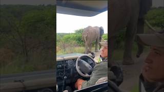 An amazing and incredible experience Ndaka Safari Lodge Big 5 Game Reserve Nambiti South Africa [upl. by Laleb]