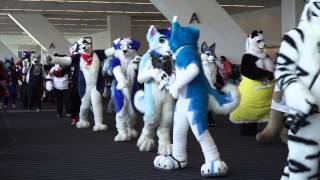 Anthrocon 2015 Fursuit Parade HD [upl. by Nednil]