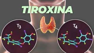 Tiroxina ¿sabes qué es y para qué sirve [upl. by Ahcire]