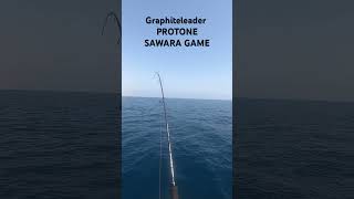 Fishing graphiteleader PROTONE SAWARA GAME [upl. by Phenice]