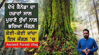 Hidden Canadian Gem THOUSANDS of Years Old V9 Punjabi Vlogs [upl. by Colner]