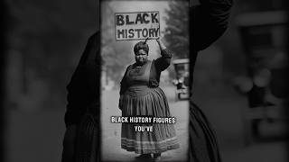 Fannie Lou Hamer Black History Stories [upl. by Akitan228]