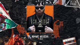 Miky Woodz Ñejo  Aunque Quisiera  El OG Audio Oficial [upl. by Hayifas]