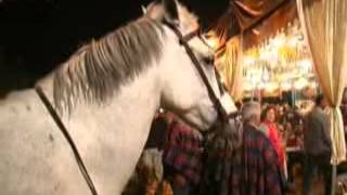 ToursTVcom Romeria de El Rocio [upl. by Seabrook206]