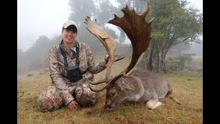 Outdoor Quest TV New Zealand Fallow Deer Hunt [upl. by Nelleh]