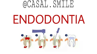 PASSO A PASSO ENDODONTIA  POLPA VIVA [upl. by Guenevere]