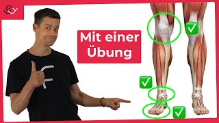 Starke Knie Füße und Sprunggelenke  Mit nur einer Übung [upl. by Rodie]