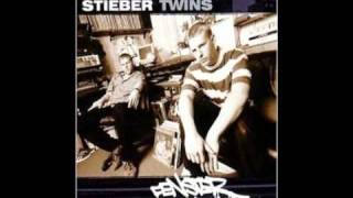 Stieber Twins  Fenster zum Hof Remix [upl. by Etnoved416]