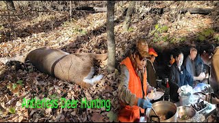 Minnesota Antlerless Deer Hunting 2024  Tua Maum Mos Lwj [upl. by Goggin748]