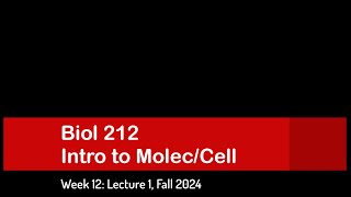 CSULB Biol 212 Fall 2024  Week 12 Lecture 1 [upl. by Wershba]